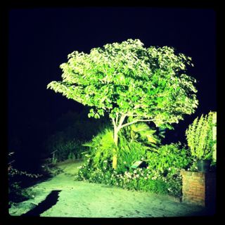 La luz en la noche
