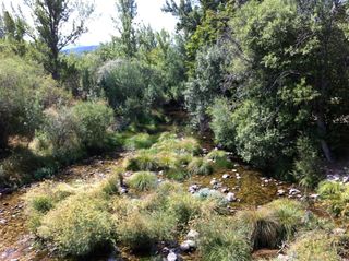 La vegetación en su esplendor del verano
