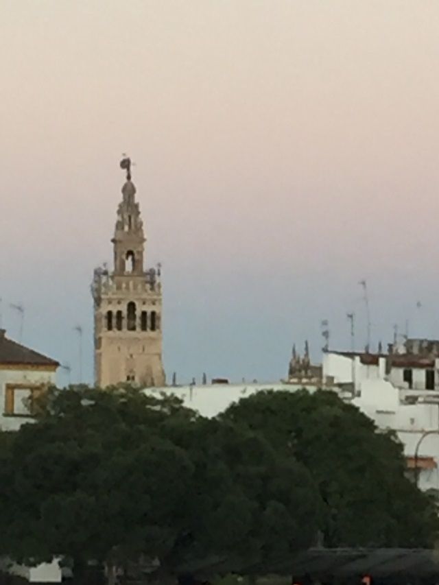 La gran dama a lo lejos