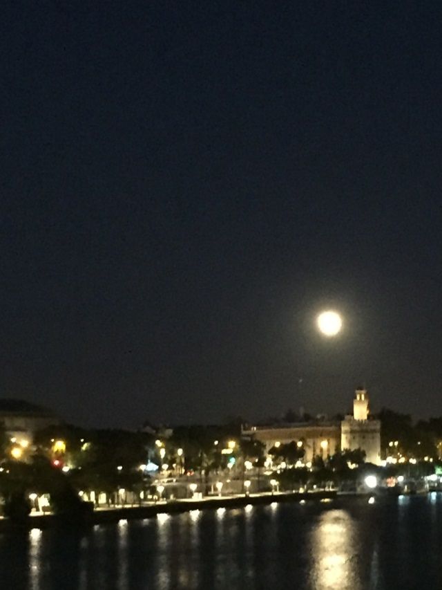 La luna en lo alto
