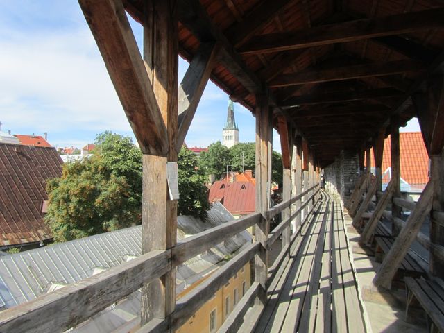 Por las alturas en Tallín