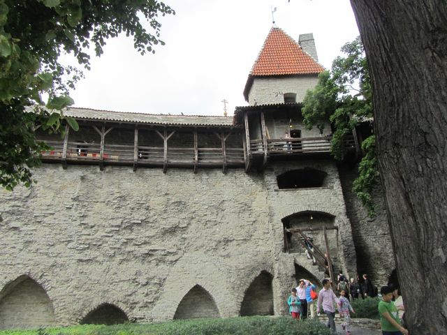 Tallín 