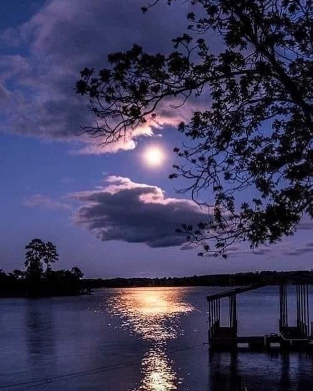 La luna salió para alumbrar mi camino