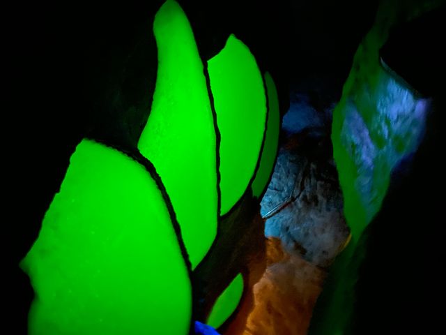 Luces y colores